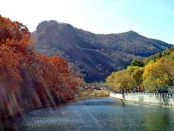 正版澳门天天开彩大全，汽车地板胶价格